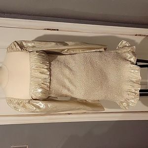 Aritzia Wilfred Women's L Silver Metallic Ballad Dress